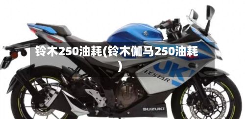 铃木250油耗(铃木伽马250油耗)-第2张图片
