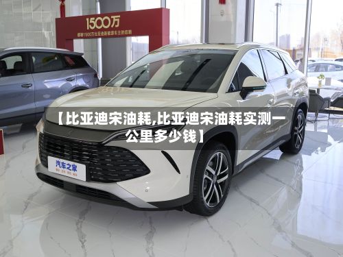 【比亚迪宋油耗,比亚迪宋油耗实测一公里多少钱】