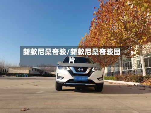 新款尼桑奇骏/新款尼桑奇骏图片-第2张图片