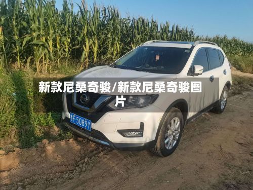 新款尼桑奇骏/新款尼桑奇骏图片-第3张图片