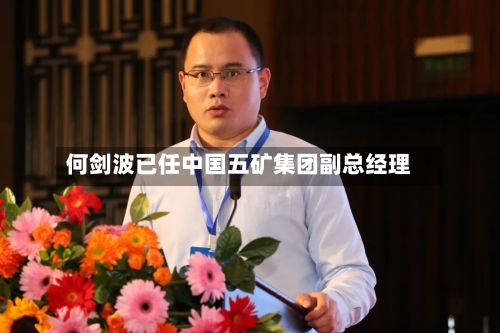 何剑波已任中国五矿集团副总经理-第2张图片