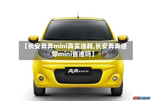 【长安奔奔mini真实油耗,长安奔奔迷你mini省油吗】