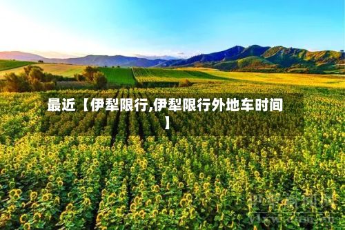 最近【伊犁限行,伊犁限行外地车时间】