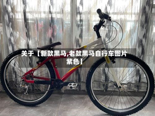 关于【新款黑马,老款黑马自行车图片紫色】-第3张图片