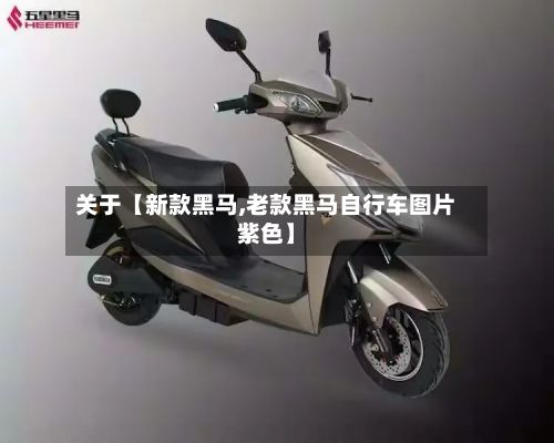 关于【新款黑马,老款黑马自行车图片紫色】-第2张图片