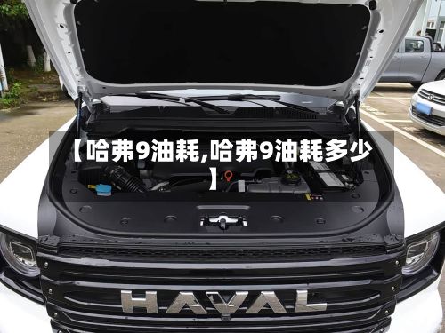【哈弗9油耗,哈弗9油耗多少】