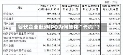 餐饮企业赴港IPO为何集体“卡壳	”？-第3张图片