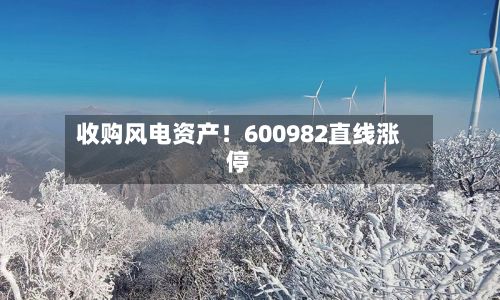收购风电资产！600982直线涨停