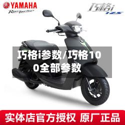 巧格i参数/巧格100全部参数-第1张图片