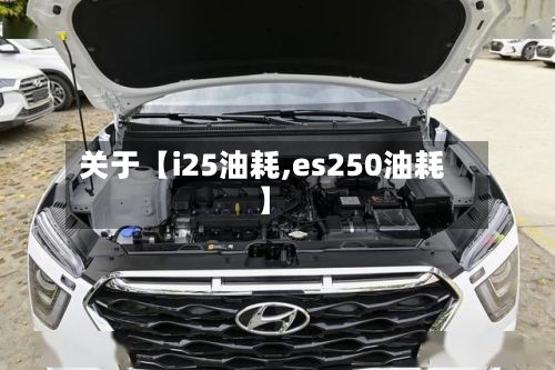 关于【i25油耗,es250油耗】-第1张图片