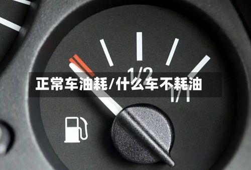 正常车油耗/什么车不耗油-第1张图片