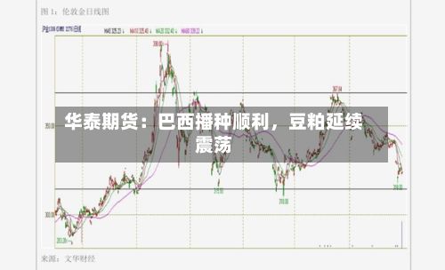 华泰期货：巴西播种顺利，豆粕延续震荡-第2张图片