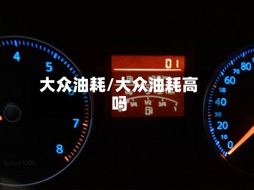 大众油耗/大众油耗高吗-第1张图片