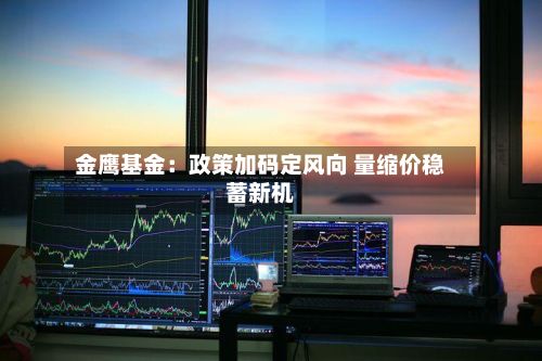 金鹰基金:政策加码定风向 量缩价稳蓄新机-第1张图片