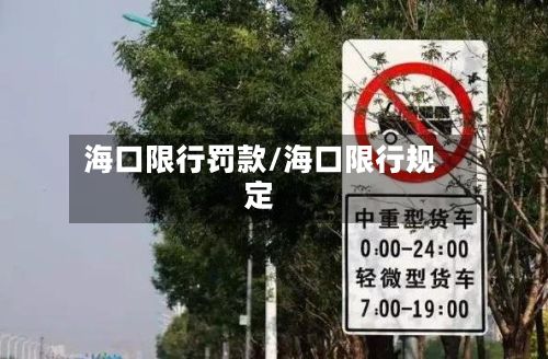海口限行罚款/海口限行规定-第2张图片