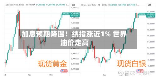 加息预期降温！纳指涨近1% 世界油价走高-第3张图片