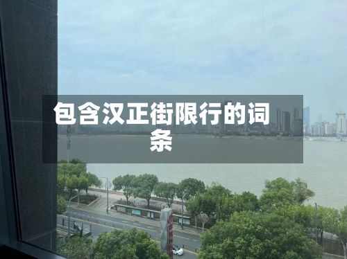 包含汉正街限行的词条