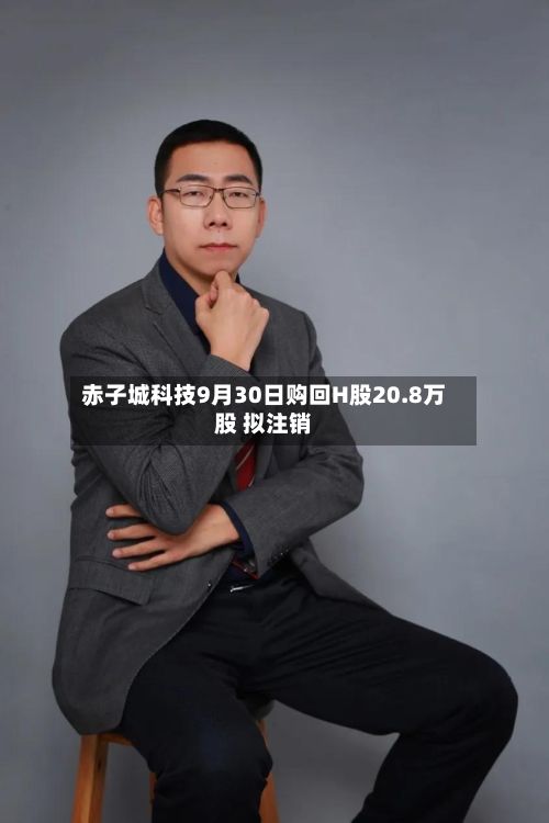 赤子城科技9月30日购回H股20.8万股 拟注销-第1张图片