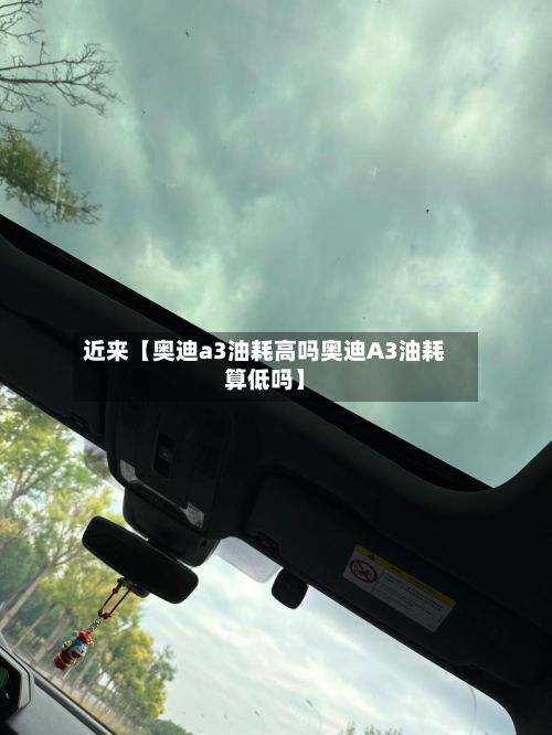 近来【奥迪a3油耗高吗奥迪A3油耗算低吗】-第3张图片