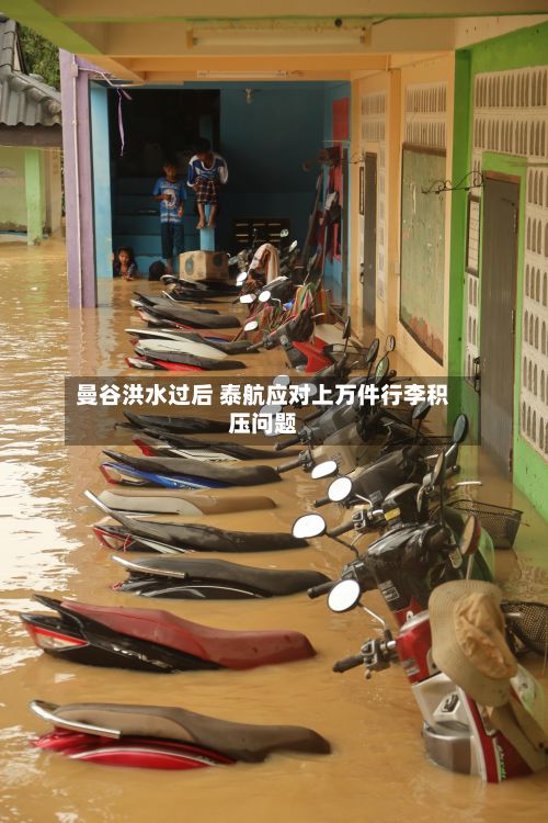 曼谷洪水过后 泰航应对上万件行李积压问题-第3张图片