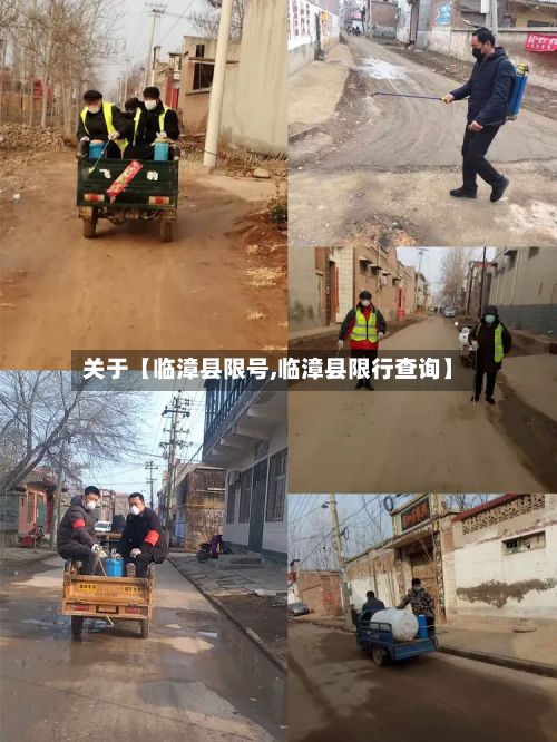 关于【临漳县限号,临漳县限行查询】-第2张图片