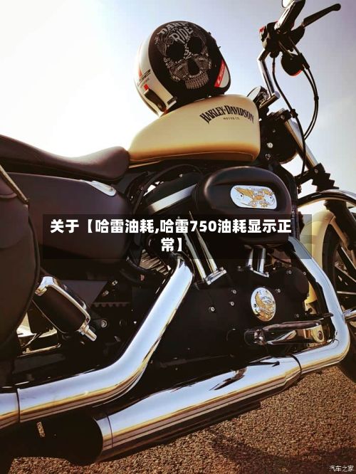 关于【哈雷油耗,哈雷750油耗显示正常】