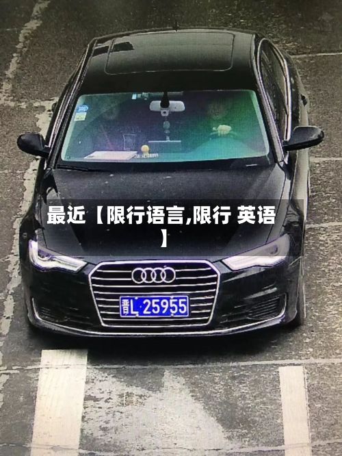 最近【限行语言,限行 英语】-第2张图片