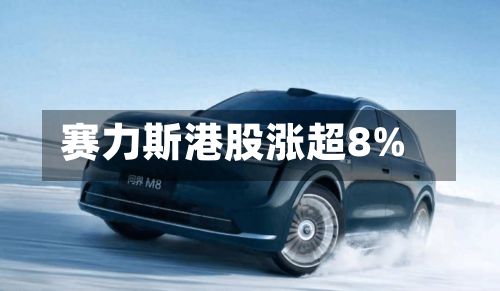 赛力斯港股涨超8%-第1张图片