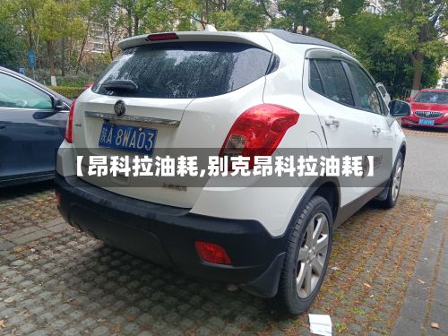 【昂科拉油耗,别克昂科拉油耗】-第1张图片
