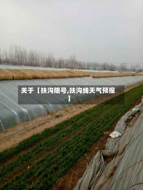 关于【扶沟限号,扶沟线天气预报】-第1张图片