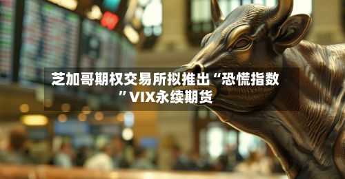 芝加哥期权交易所拟推出“恐慌指数”VIX永续期货-第2张图片