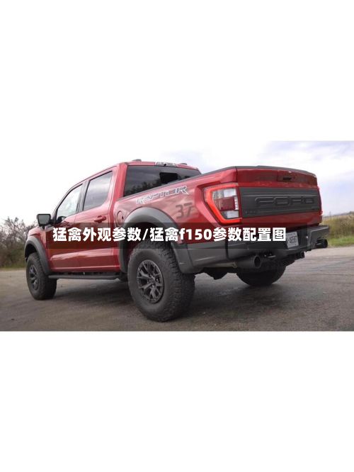 猛禽外观参数/猛禽f150参数配置图-第1张图片