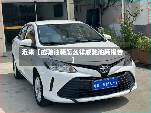 近来【威驰油耗怎么样威驰油耗报告】-第1张图片
