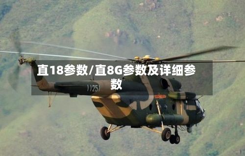 直18参数/直8G参数及详细参数-第1张图片