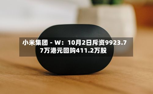 小米集团-W:10月2日斥资9923.77万港元回购411.2万股-第1张图片