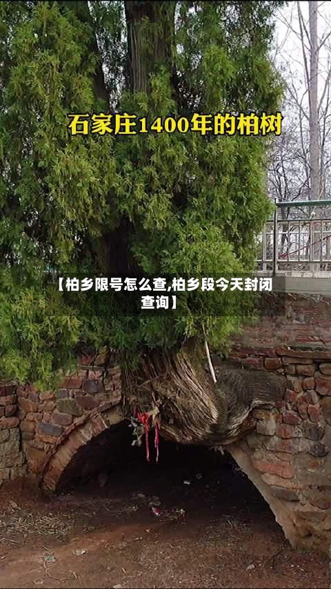 【柏乡限号怎么查,柏乡段今天封闭查询】