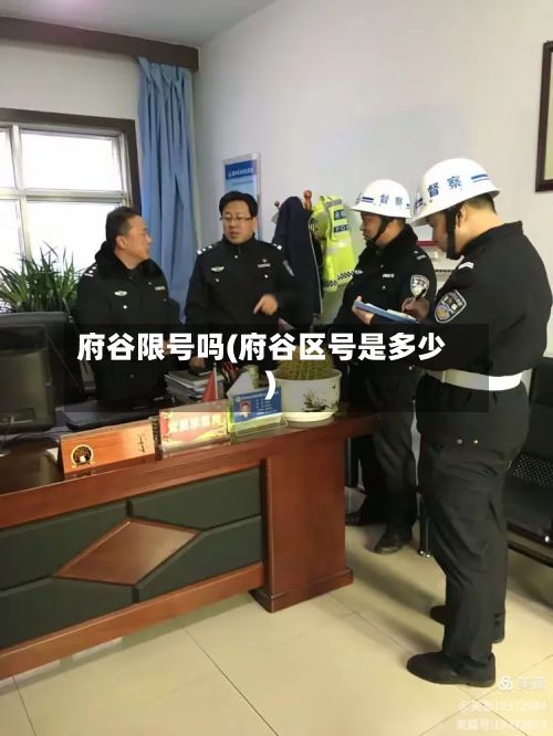 府谷限号吗(府谷区号是多少)