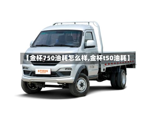 【金杯750油耗怎么样,金杯t50油耗】-第3张图片