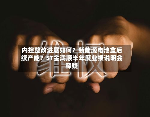 内控整改进展如何?新能源电池盒后续产能?ST金鸿顺半年度业绩说明会释疑-第3张图片