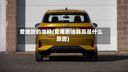 爱唯欧的油耗(爱唯欧油耗高是什么原因)