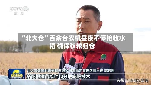 “北大仓”百余台农机昼夜不停抢收水稻 确保秋粮归仓