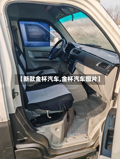 【新款金杯汽车,金杯汽车图片】-第3张图片