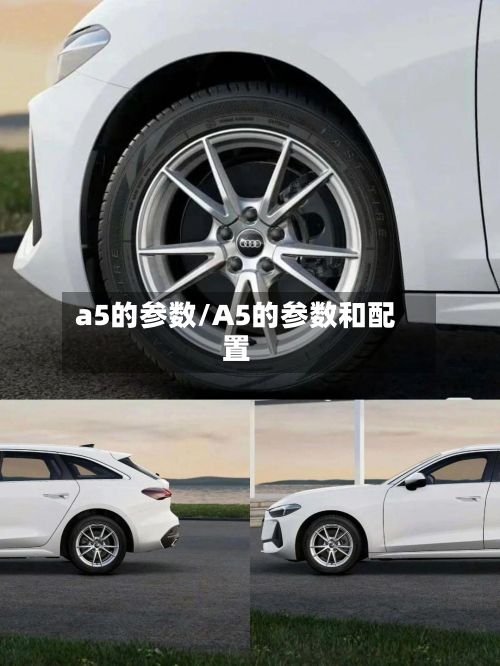 a5的参数/A5的参数和配置