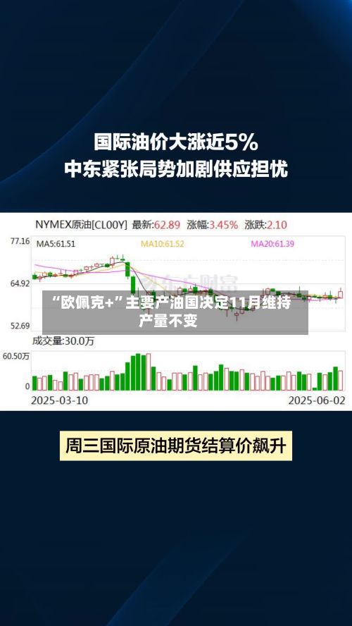 “欧佩克+	”主要产油国决定11月维持产量不变-第3张图片