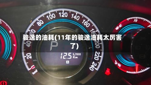骏逸的油耗(11年的骏逸油耗太厉害了)