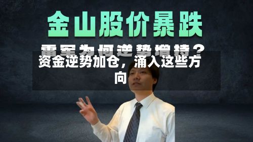 资金逆势加仓，涌入这些方向