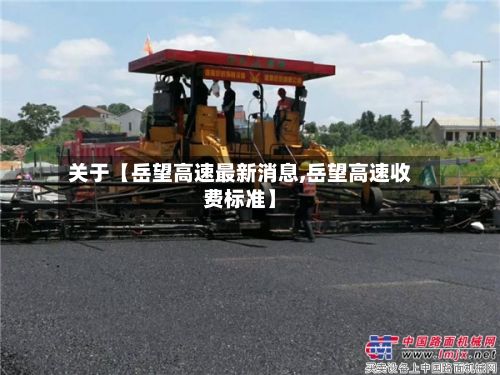 关于【岳望高速最新消息,岳望高速收费标准】-第2张图片
