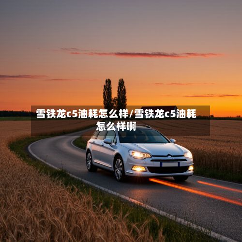 雪铁龙c5油耗怎么样/雪铁龙c5油耗怎么样啊-第3张图片