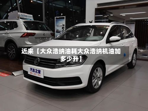 近来【大众浩纳油耗大众浩纳机油加多少升】-第3张图片