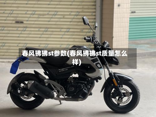 春风狒狒st参数(春风狒狒st质量怎么样)-第1张图片